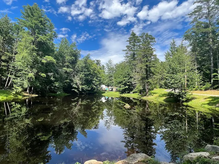 Spacious Skies Campgrounds - Seven Maples Picture 7
