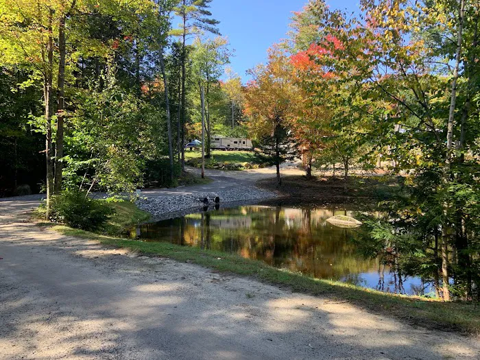 Spacious Skies Campgrounds - Seven Maples Picture 8