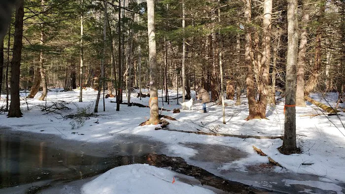 Snug Life Camping Picture 3