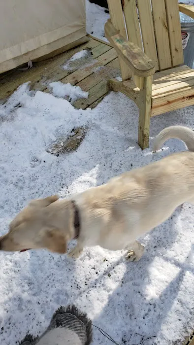 Snug Life Camping Picture 4