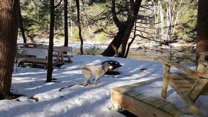 Snug Life Camping Picture 1