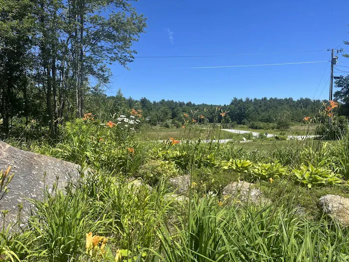 Rocky Valley RV Resort Picture 5