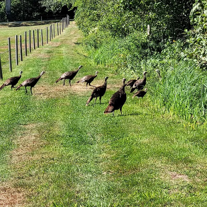 Oxbow Campground Picture 6