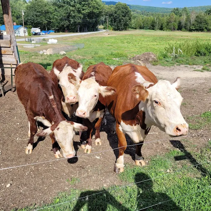 Oxbow Campground Picture 9