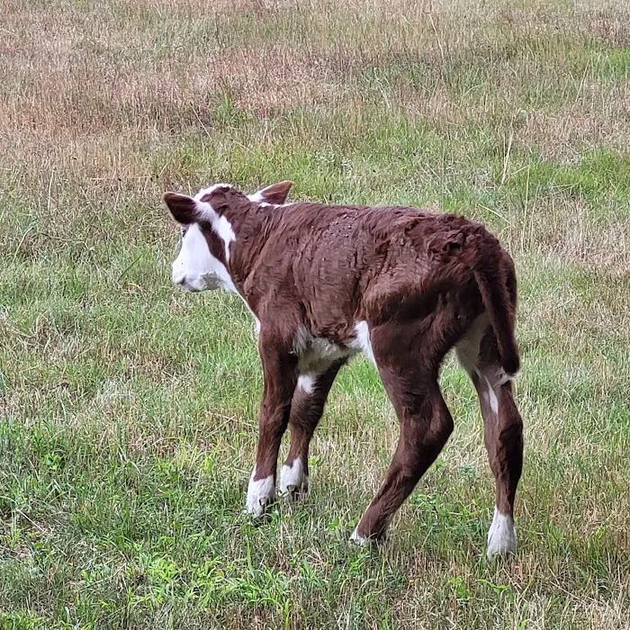 Oxbow Campground Picture 10