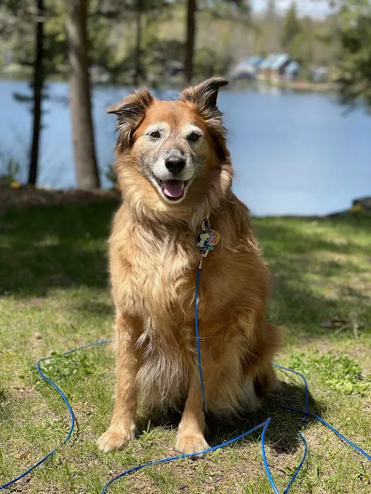 Tippicanoe Campground Picture 5
