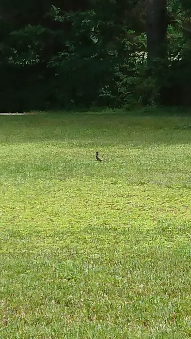 Tippicanoe Campground Picture 3