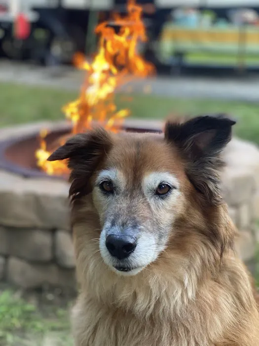 Tippicanoe Campground Picture 2