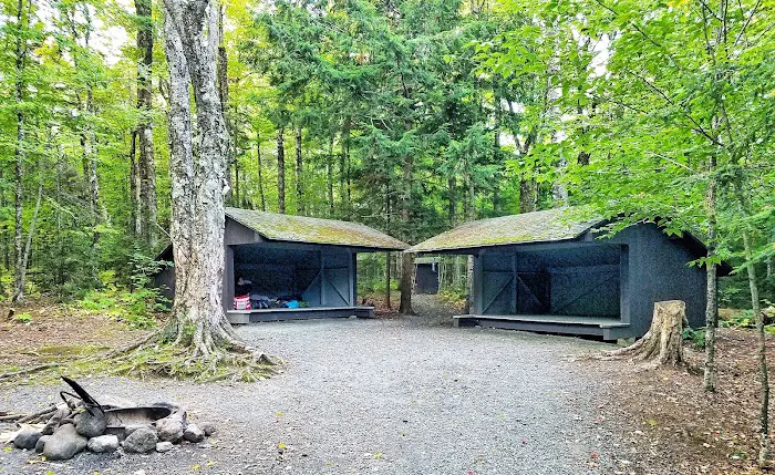 Mt Sunapee State Park Campground Picture 3