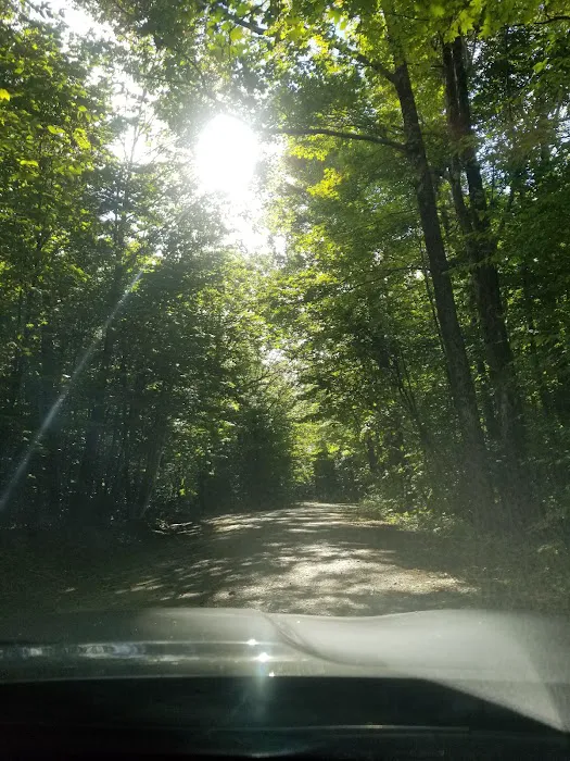 Mt Sunapee State Park Campground Picture 5