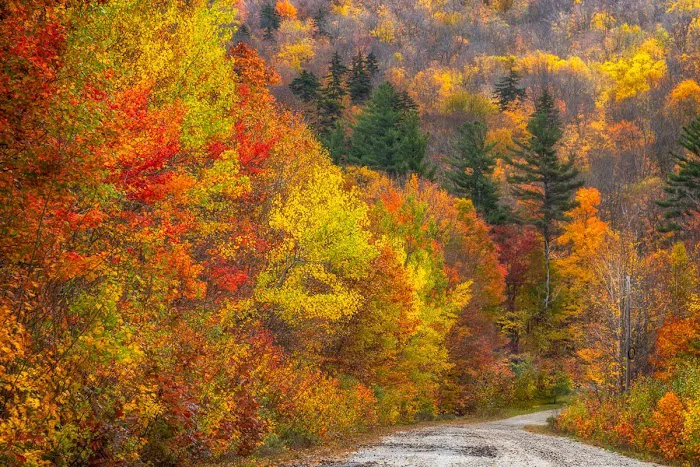 Mt Sunapee State Park Campground Picture 9