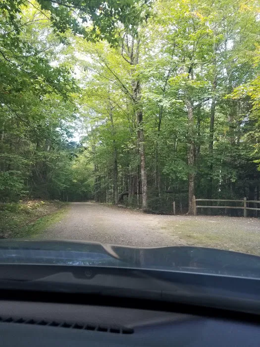 Mt Sunapee State Park Campground Picture 1