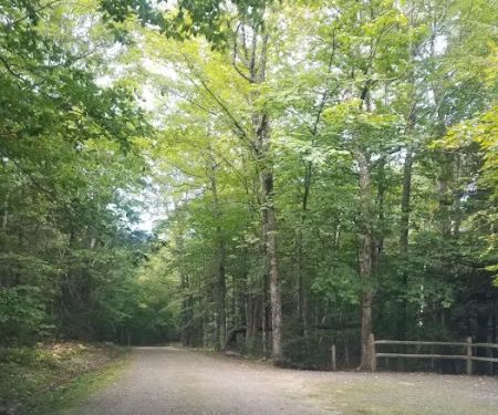 Mt Sunapee State Park Campground