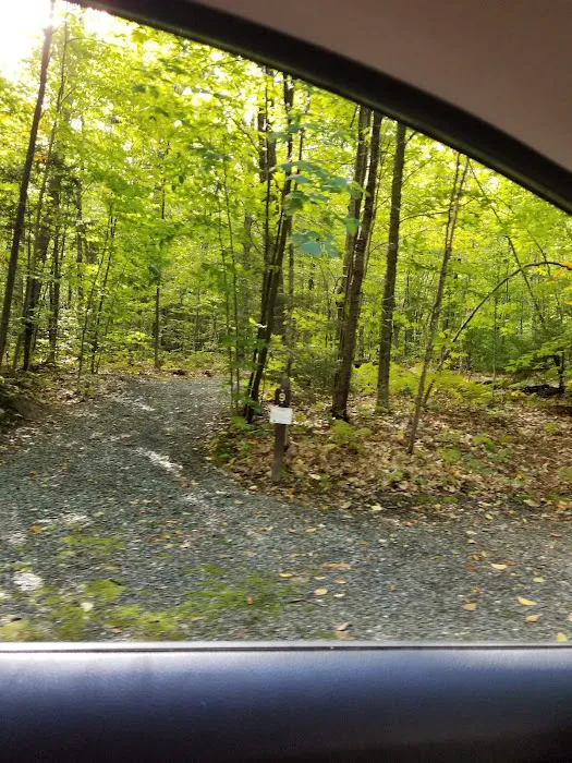 Mt Sunapee State Park Campground Picture 8