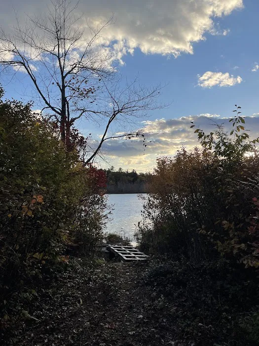 Rock'n'birch Campground Picture 2