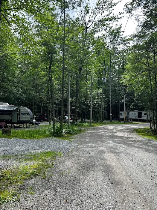 Spacious Skies Campgrounds - French Pond Picture 9