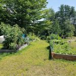 Running Bear Camping Area