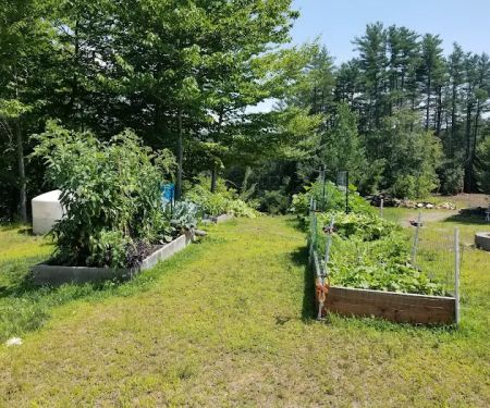 Running Bear Camping Area