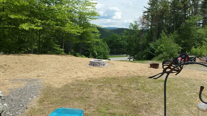 Running Bear Camping Area Picture 6