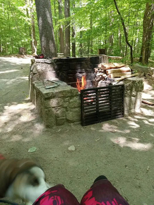 Mount Ascutney State Park Campground Picture 4