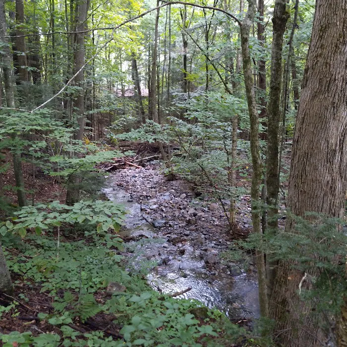 Mount Ascutney State Park Campground Picture 8