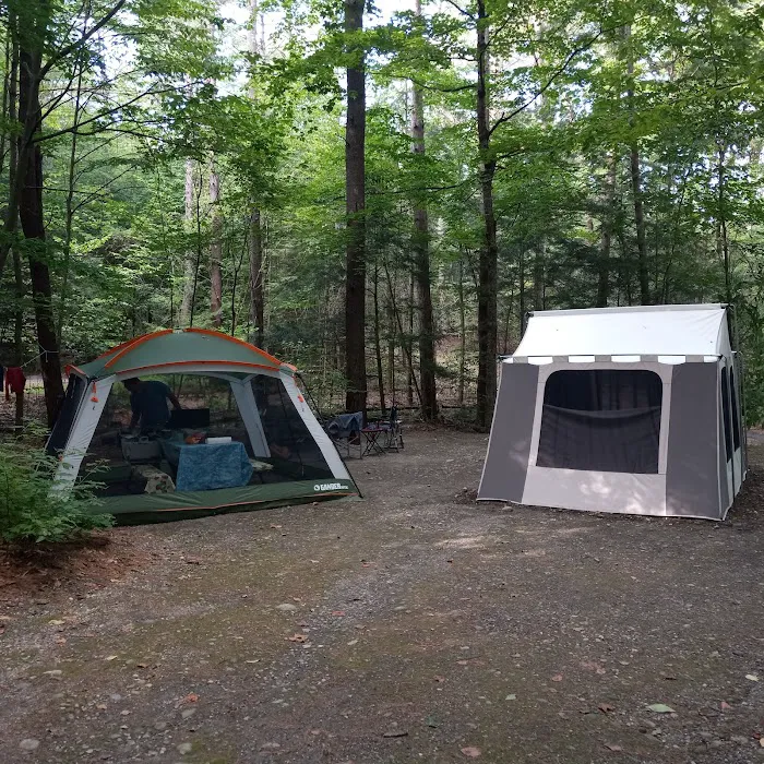Mount Ascutney State Park Campground Picture 6