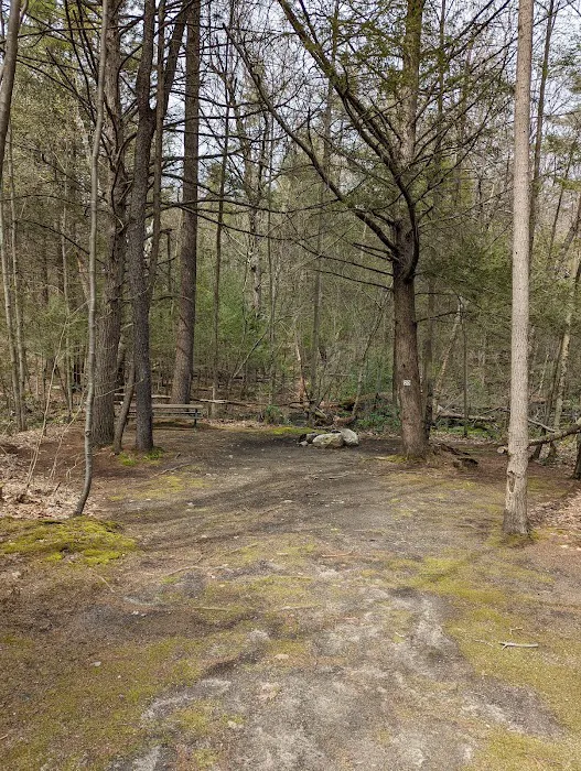 The Pines Campground Picture 6