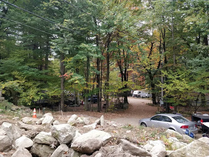 The Pines Campground Picture 10