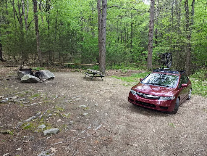 The Pines Campground Picture 7