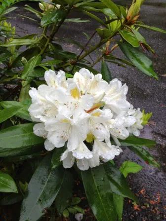 Field & Stream RV Park Picture 4