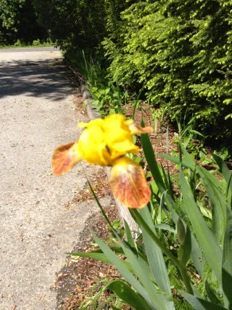 Field & Stream RV Park Picture 6