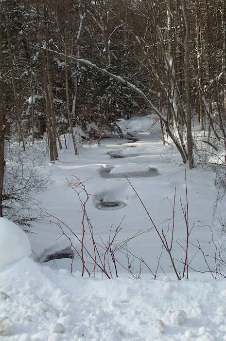 Field & Stream RV Park Picture 10