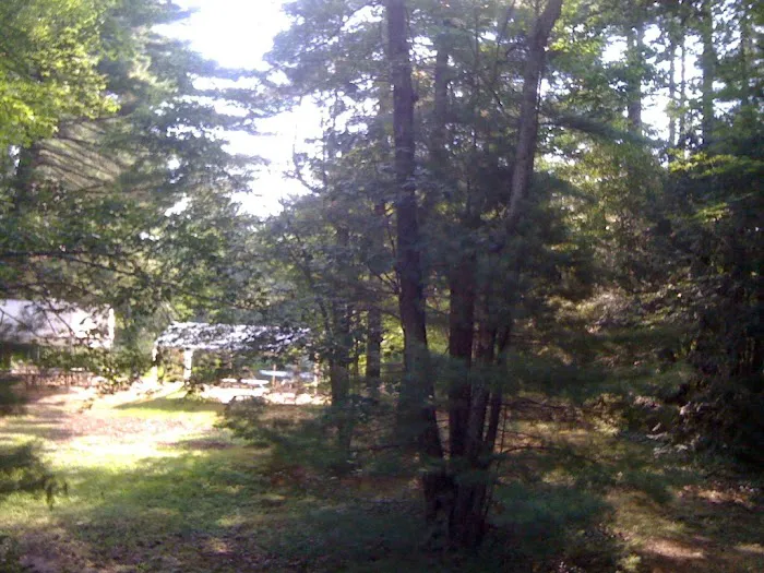 Field & Stream RV Park Picture 9