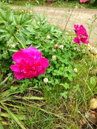 Field & Stream RV Park Picture 8