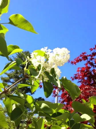 Field & Stream RV Park Picture 5