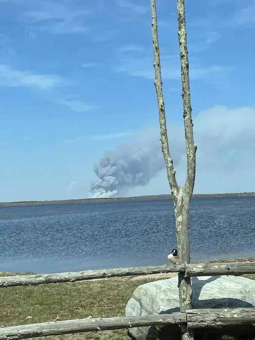 Worden Pond Family Campground Picture 6