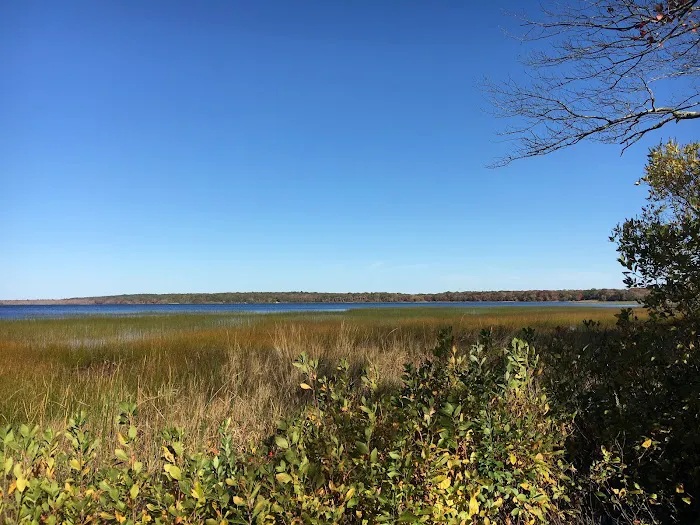Worden Pond Family Campground Picture 3