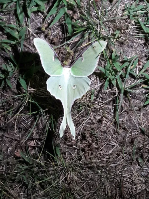 Greenwood Hill Campground Associates Picture 1