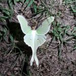 Greenwood Hill Campground Associates