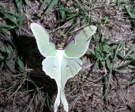 Greenwood Hill Campground Associates