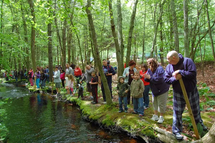 Whispering Pines Campground Picture 6