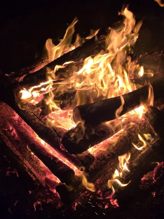 Campsite Backwoods Picture 3