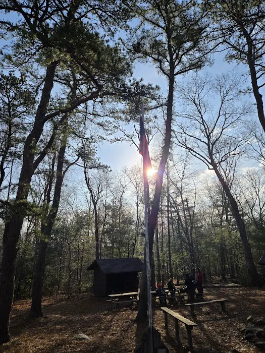 Campsite Backwoods Picture 5