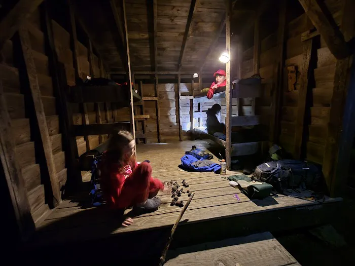 Campsite Backwoods Picture 2