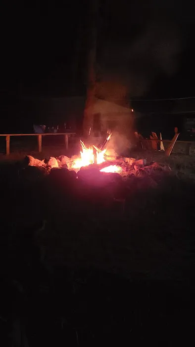 Campsite Backwoods Picture 1