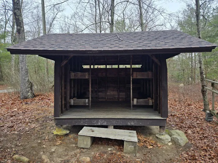 Campsite Backwoods Picture 4