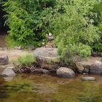 Indian Lake Islands Campground - Campsite #33