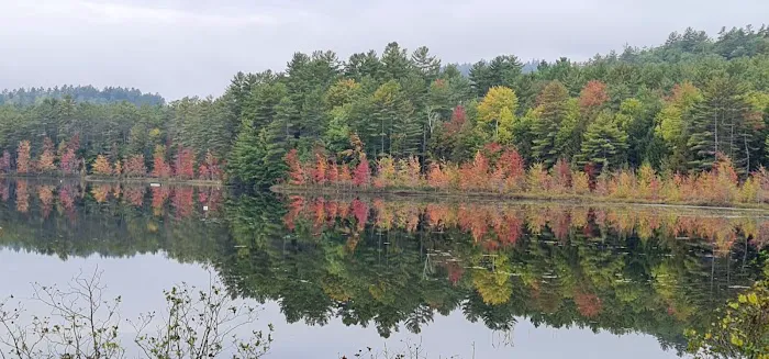Smoke Rise Campground & Cabins Picture 1