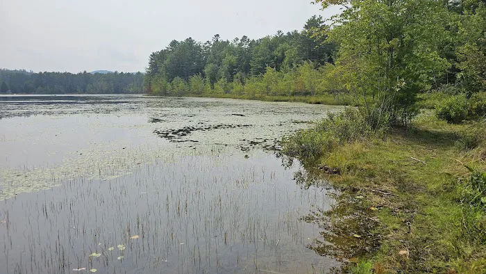 Smoke Rise Campground & Cabins Picture 6