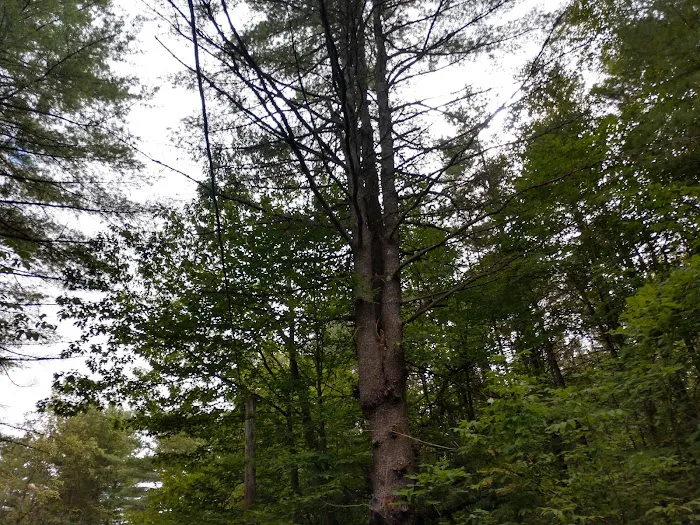 Smoke Rise Campground & Cabins Picture 8